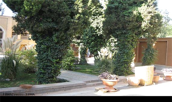 قطع میخک هندی 30 ساله در دانشگاه هنر اصفهان چگونه توجیه می‌شود؟