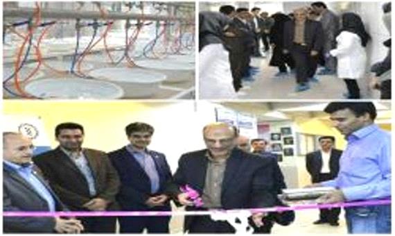 آزمایشگاه کار با حیوانات پژوهشکده زیست فناوری دانشگاه صنعتی اصفهان افتتاح شد