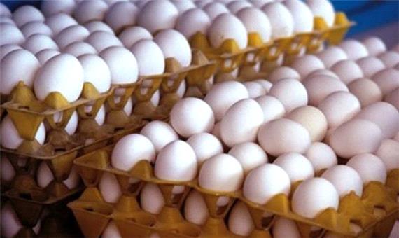 200 تن تخم مرغ حمایتی در بازار اصفهان عرضه شد