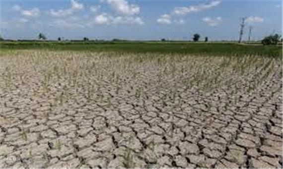 عقدایی:  آب برای کشاورزی نیست