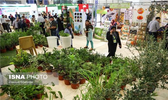 اردیبهشتی دیگر با نمایشگاه گل و گیاه در اصفهان
