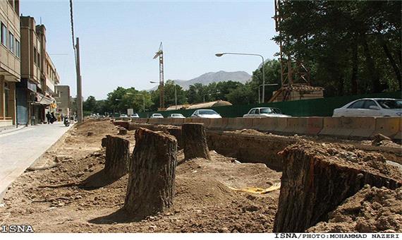 رحیمی: شکایتی از قطع درختان چهارباغ واصل نشده است