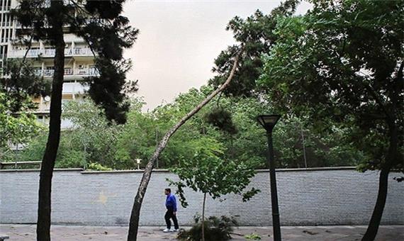 وزش باد نسبتا شدید در اصفهان طی روزهای آینده پیش بینی می‌شود