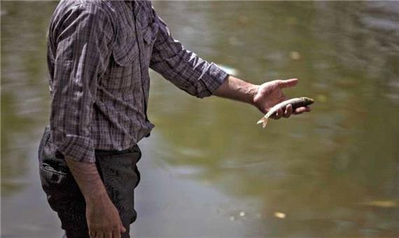 20 هزار قطعه ماهی در لنجان نجات یافتند