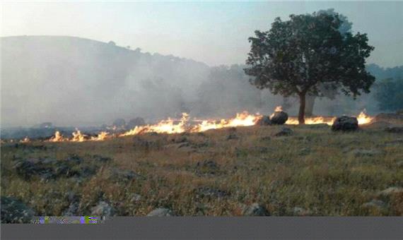 بخش وسیعی از مراتع شهرستان چادگان در آتش سوخت