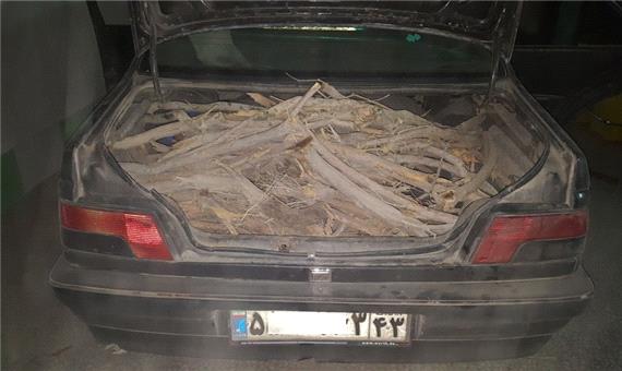 600 کیلوگرم چوب قاچاق در آران و بیدگل کشف شد