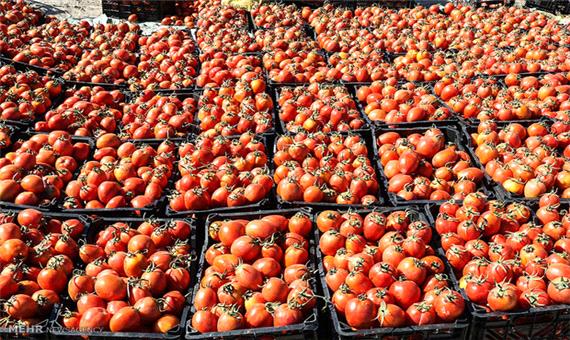 صادرات محصولات کشاورزی در اصفهان کنترل شود