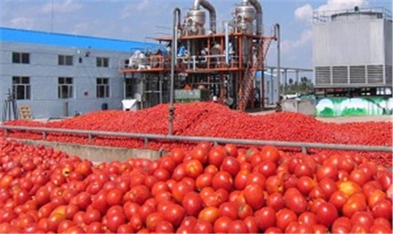 تاجران روس و افغان رب گوجه ایران را غارت کردند